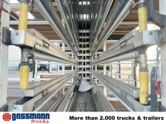 Mercedes Benz LK 817 4x2, Taubentransporter 