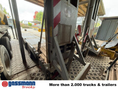 Andere TT 31, 1-A-Liftachse, 3-A-Lenkachse 